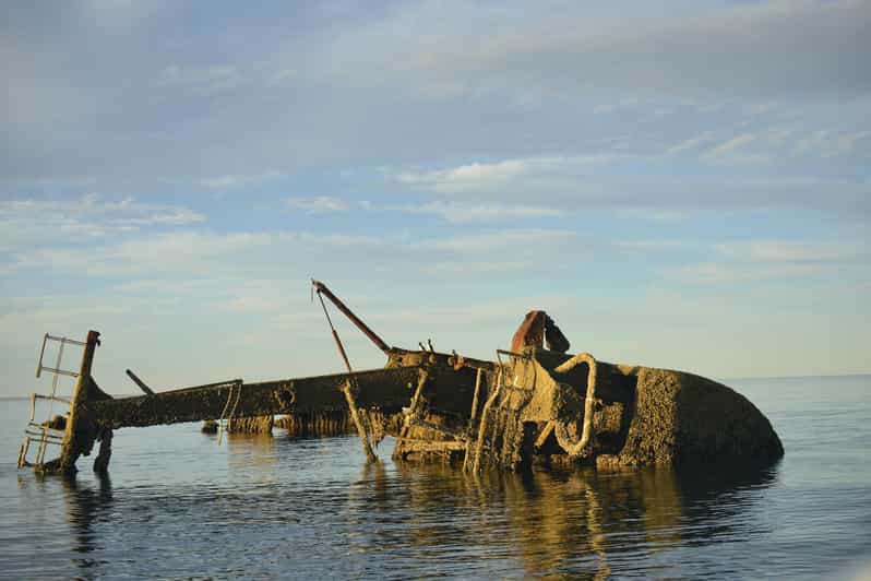 18 Best Cruises And Boat Tours In Puerto Madryn