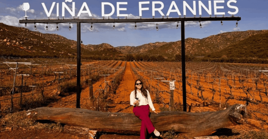 Valle De Guadalupe: Winery Tour With Tastings