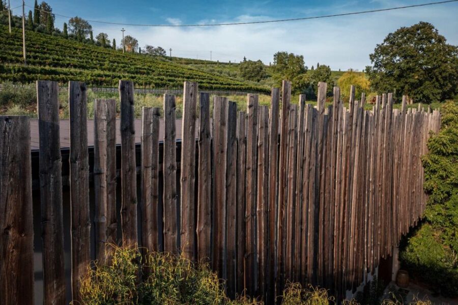 Valpolicella: Guided Tour & Exclusive Tasting – Hidden Gems