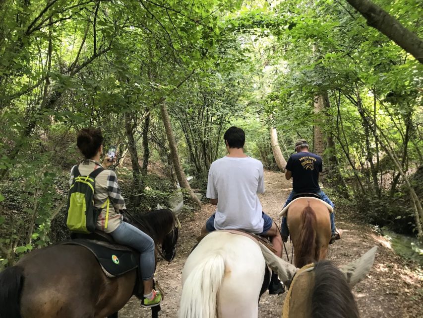 Verona: Horseback Riding and Wine Tasting Experience