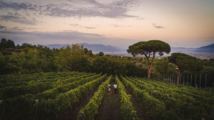 Vesuvius: Cooking Class on the Slopes of Vesuvius