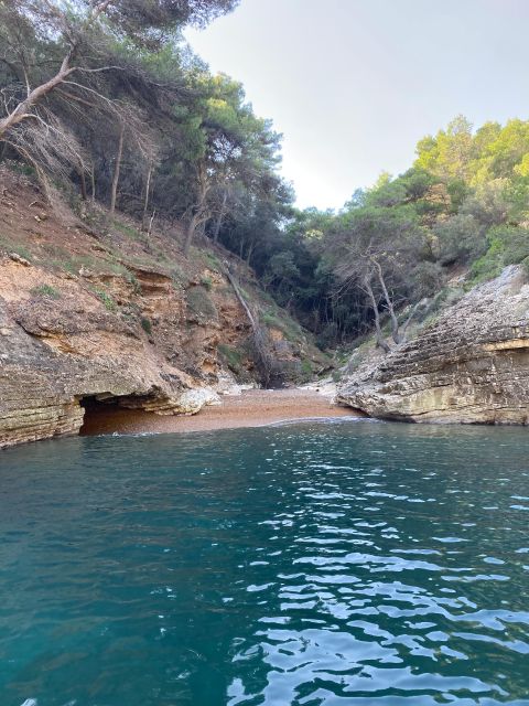 Vieste: 4 Hour Boat Rental