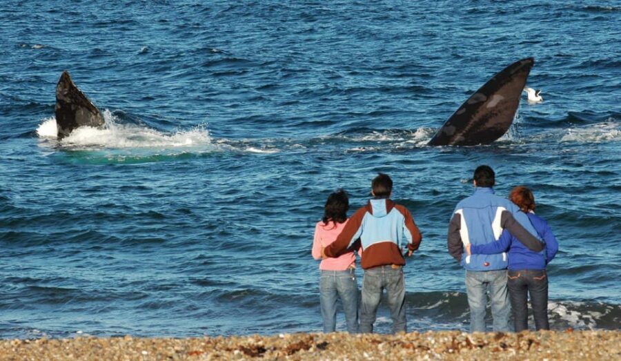 3 Best Private Car With Driver Services In Puerto Madryn