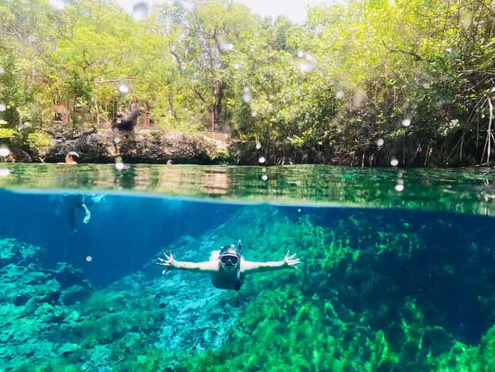 VIP 3 Cenotes Private Tour - Tour Overview