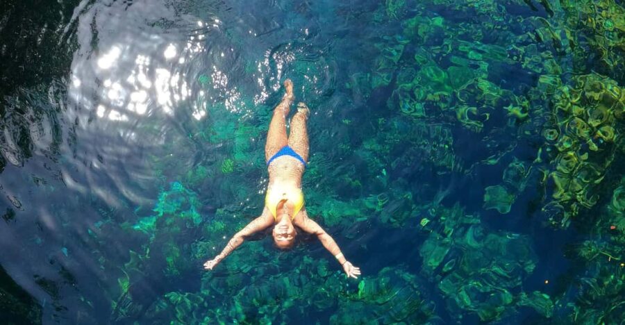 VIP Cenotes Express (Half Day, 2 Cenotes) - Tour Overview and Pricing