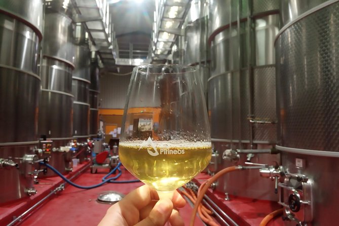 Visit and Wine Tasting at BODEGA PIRINEOS