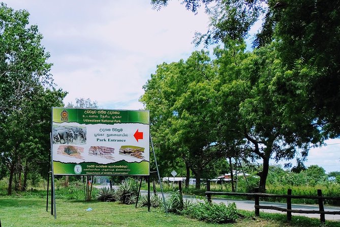 Visit Ella and Udawalawe Safari – 2 Days, All Inclusive