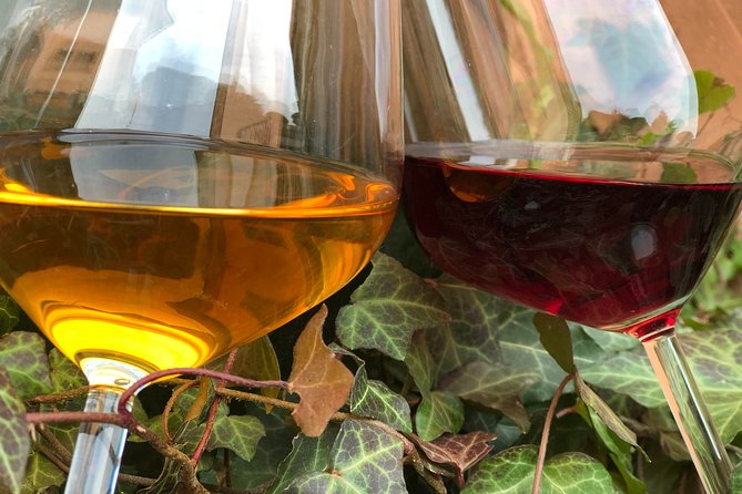 Visit to the Museum and Tasting of the Ancient Roman Wine
