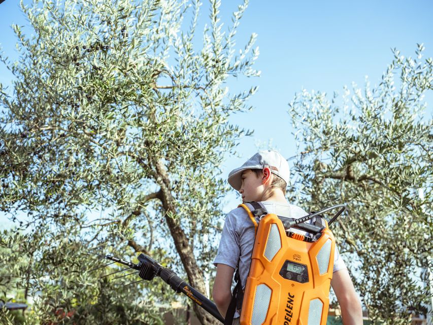 Volterra - Olive Oil Tasting With Lunch With Lunch or Dinner