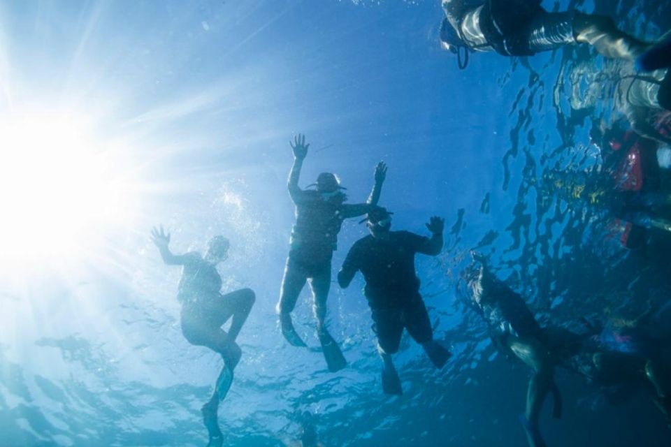 Waikiki: Snorkel Tour With Hawaiian Green Sea Turtles