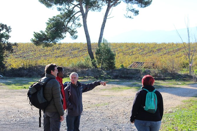 Walks in the Heart of the Secret Vineyards Around Collioure, Tastings