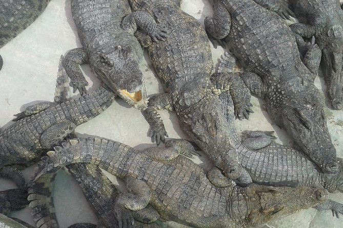 War Museum, Killing Field and Floating Village ( Chong Kneas) Tour - Tour Overview