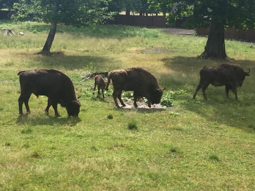 3 Best National Park Tours In Warsaw