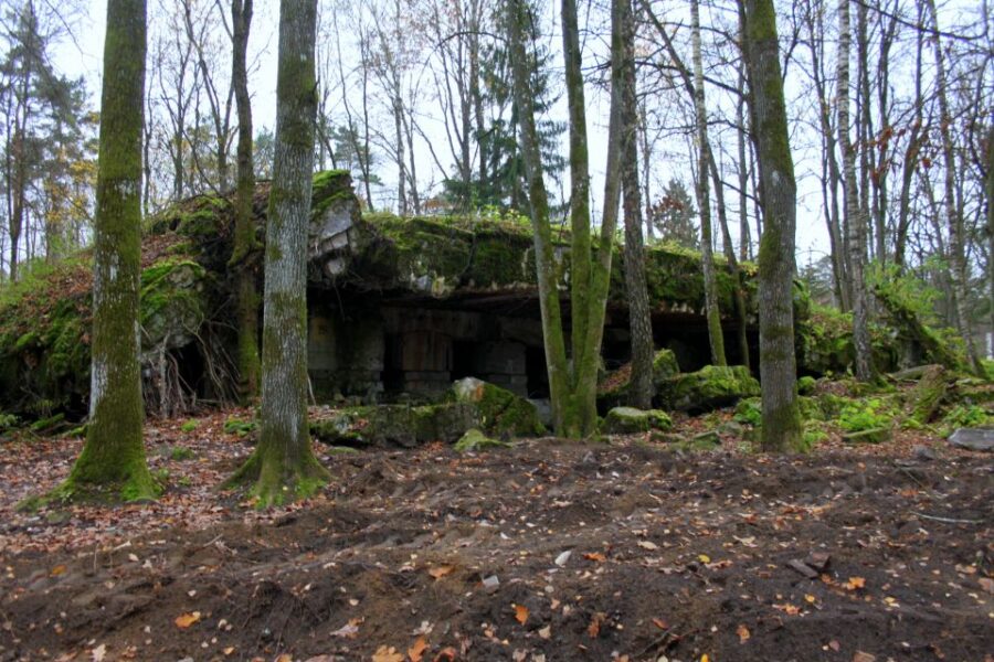 Warsaw: Private Full-Day Wolfs Lair Tour