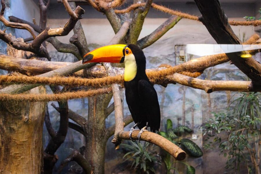 Warsaw Zoo Park With Private Transport