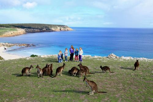 Waves & Wildlife Cottages Kangaroo Island - Property Overview