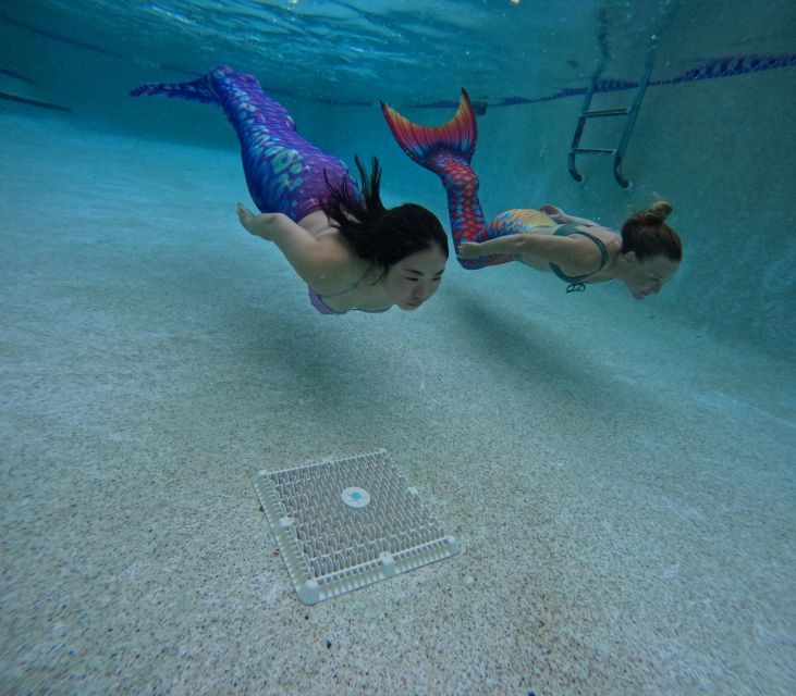 West Palm Beach: Become A Mermaid - Activity Overview