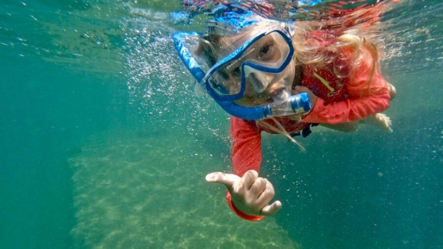 West Palm Beach: Beginner Snorkeling With Turtles & Videos
