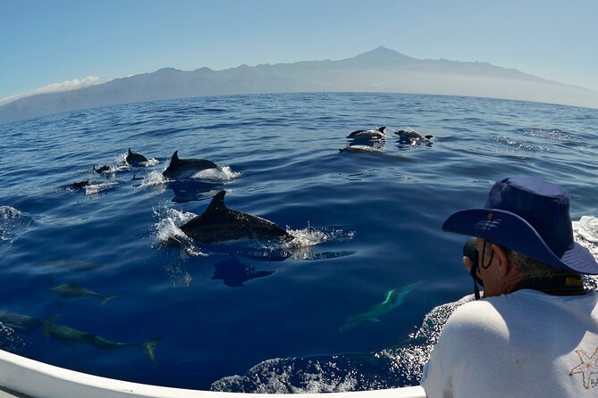 2 Best Snorkeling Experiences In Tenerife