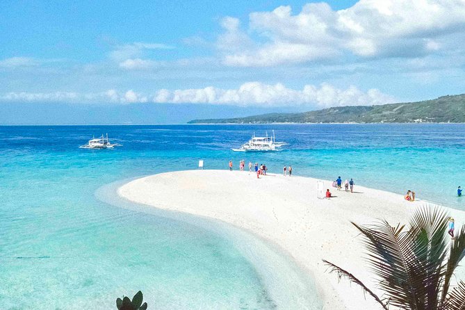 Whale Shark Watching With Sumilon Sandbar and Kawasan Falls Tour