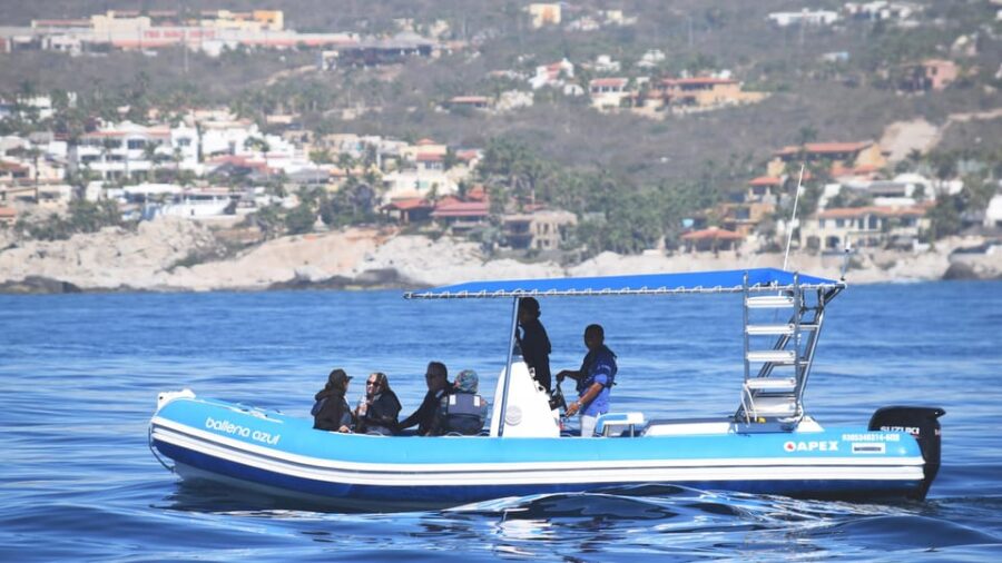 20 Best Photography Experiences In Cabo San Lucas