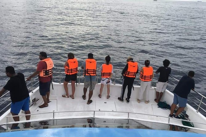 Whale Watching Cruise From Galle & Mirissa - Overview of Whale Watching Experience