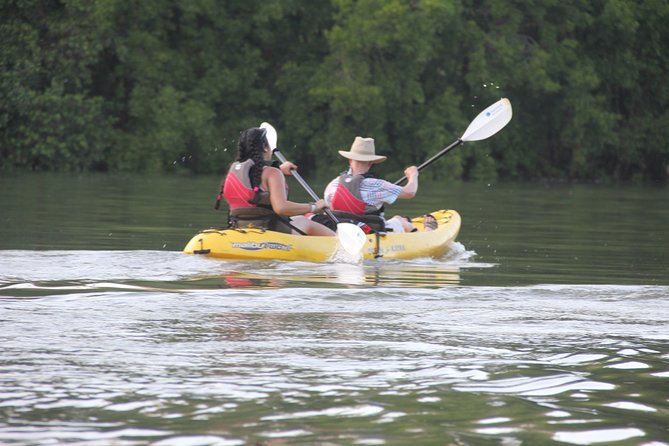 Wildlife and Mangrove Kayaking Tour Río Ora