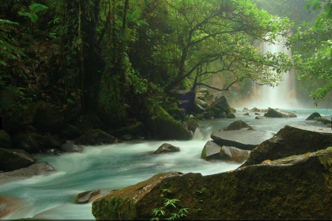 Wildlife Nature Hike, Blue Waterfall, Lunch & Sloth Trail - Tenorio Volcano Park