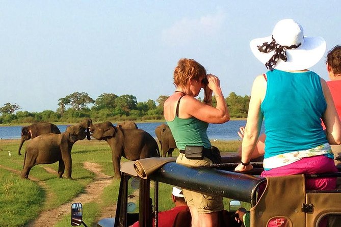 Wilpattu National Park Private Safari - Hambantota