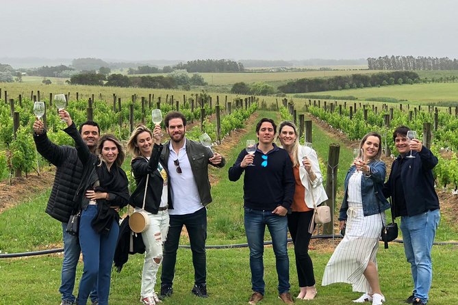Wine Lovers - Punta Wine Experience - Location and Accessibility