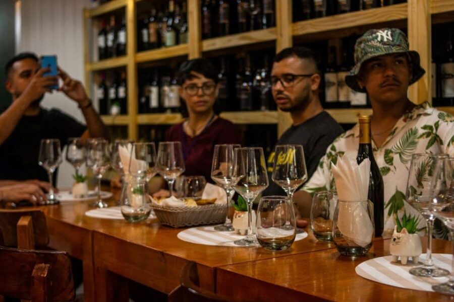 Wine Tasting at Downtown Buenos Aires, Ego Experience