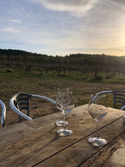 Wine Tour and Lunch or Dinner at Our Vineyard