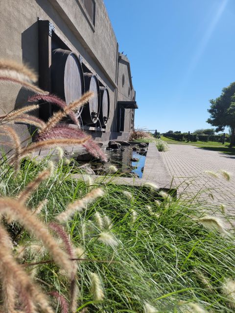 Wine Tour & History - Tour Overview and Pricing