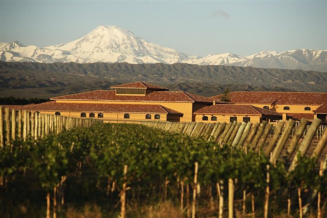 Wine Tour With Lunch From Mendoza