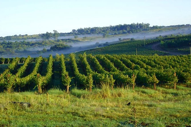 Wineries of the South, Maria Fumaça Train and Italian Epic Park