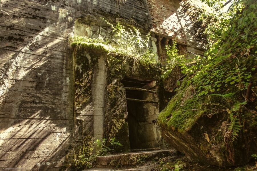 Wolfschanze: Private Transport From Gdansk to Wolfs Lair