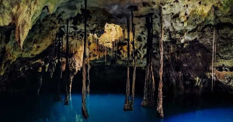 Xenotes Oasis Maya Tour