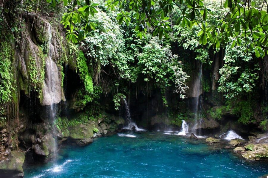 6 Best Tours In Xilitla