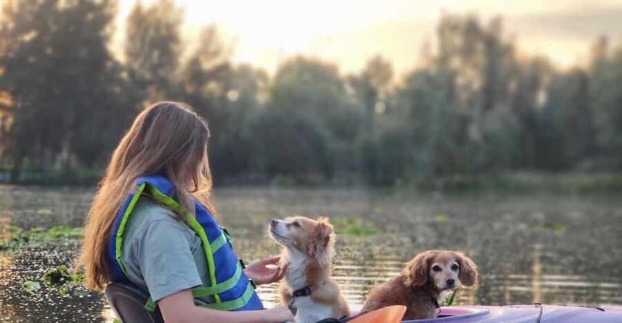 Xochimilco Sunrise Tour: Kayak at the Magic Morning Light - Tour Overview and Experience
