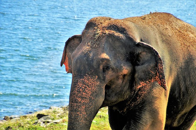 Yala National Park Private Safari