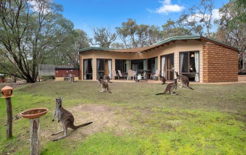 Yelverton Brook Conservation Sanctuary - Location and Accessibility