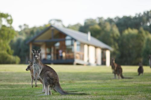 Yering Gorge Cottages - Location and Overview