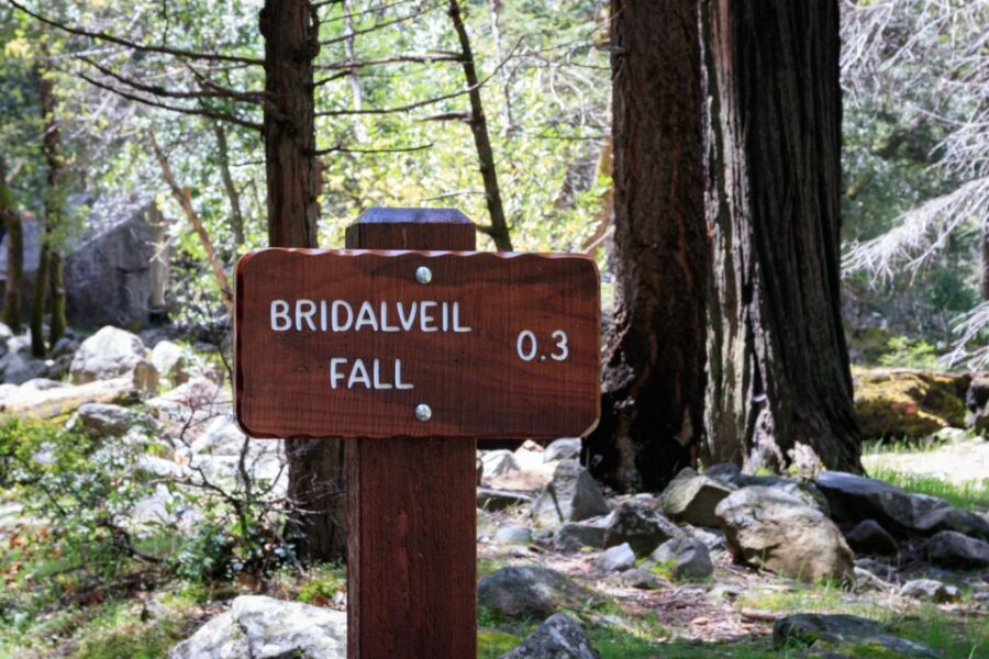 Yosemite National Park: App-Based Audio Guided Driving Route