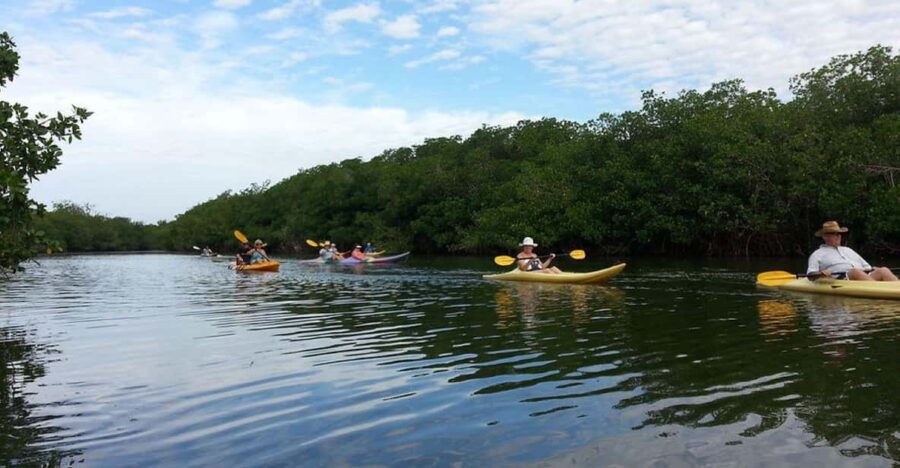 Zihuatanejo: Kayak Tour