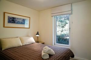 Alpine View Apartments - Accommodation Details