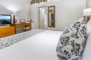 Alzburg Resort - Facilities and Amenities