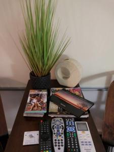 Bali Studio - Guest Feedback and Ratings