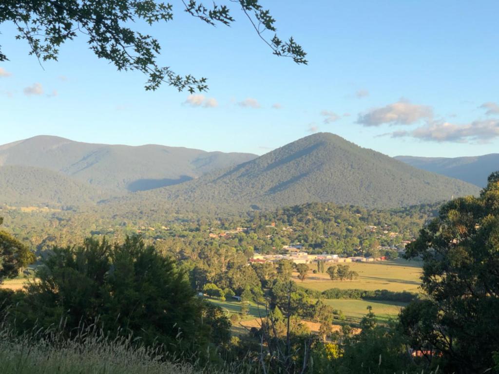Beauty of Healesville Review