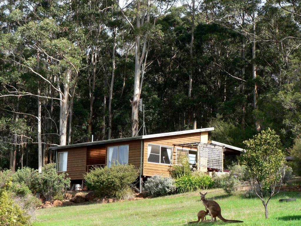 Bombina Cottages Review