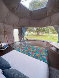 Boogaloo Camp - Unique Features and Highlights